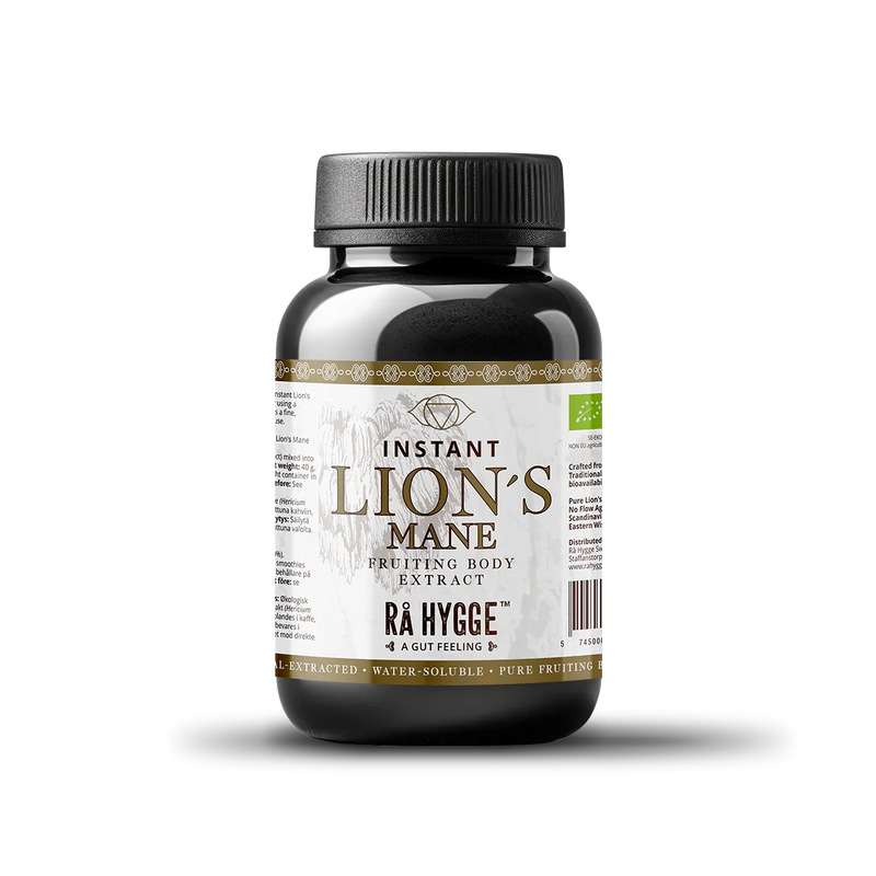 Lion's Mane Extract Powder 40 g
